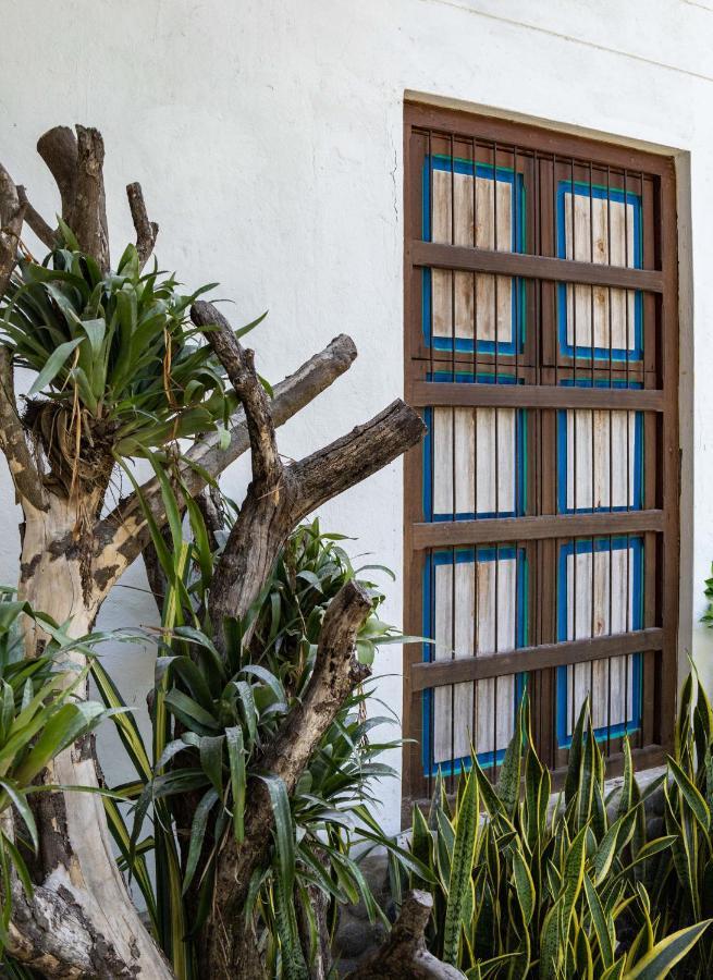 Casa Jacaranda Hotel Boutique - Cauca Viejo - Mayores De 14 Anos - جيريكو المظهر الخارجي الصورة